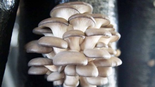 Бизнес на дому