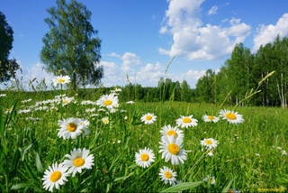 Weather forecast for July 3