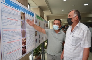 Узум етиштиришда Олтиариқ тажрибаси мамлакатимиз миқёсида кенг оммалаштирилмоқда