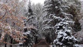 Дам олиш кунлари ҳаво совийди