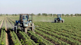 С 1 апреля фермерские хозяйства получат возмещение подоходного налога, уплаченного за их работников