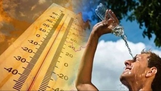 Метеорологи ООН предрекли рекордно теплый год в ближайшие пять лет