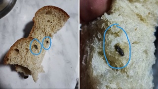 Сотиб олинган «буханка» нондан сичқон ахлати чиқди