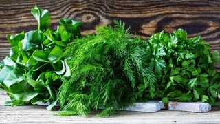 Узбекистан покоряет рынок свежей зелени восточных стран ЕС