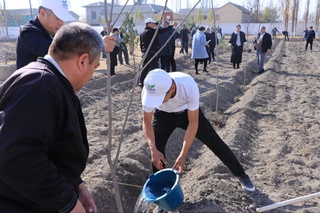 Дарахт эккан гул қўлингиз асло толмасин