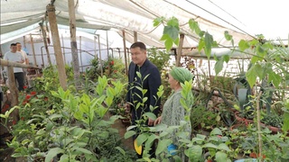 Кегейли районын ҳәр тәреплеме раўажландырыўға итибар қаратылмақта