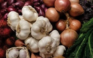 Самарқандда 25 минг гектардан ортиқ ерга тўқсонбости экинлар экилмоқда