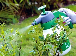 Ўсимликлар карантини тизимидаги аҳвол қониқарлими?