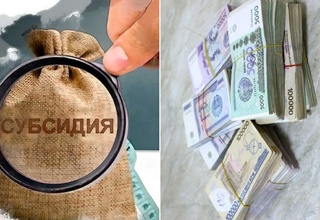 Subsidiya mablag'ini o'zlashtirgan korxona rahbari qo'lga olindi