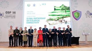 Өзбекстанда «Қоршаған ортаны қорғау бойынша жаһандық ынтымақтастық» жобасы іске қосылды