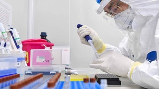 ВОЗ возобновит расследование происхождения COVID-19