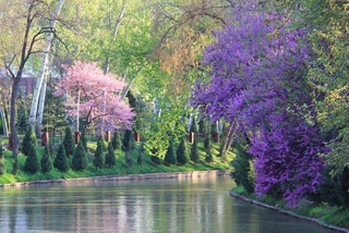 Прогноз погоды на 14 апреля