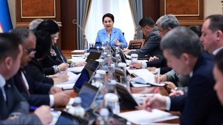 The Senate of the Oliy Majlis discussed the implementation of the Strategy for Achieving Gender Equality