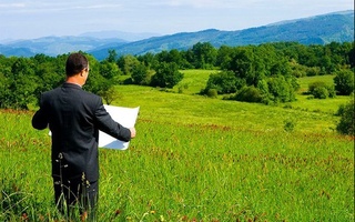 Oʻrmon fondi yerlari auksion orqali ijaraga beriladi