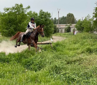 От спорти: ўсмирлар ва ёшлар ўртасида мамлакат чемпионлари аниқланди