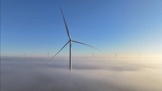 Қуёш ва шамол станциялари сўнгги 8 ойда ишлаб чиқарган электр энергияси миқдори очиқланди