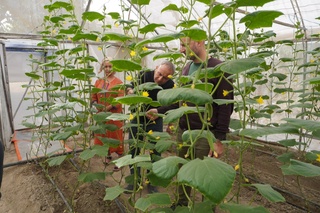 Халқаро эксперт Ўзбекистонда “ақлли деҳқончилик” натижаларини баҳолади