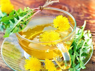 Японияда фирибгарлар коронавирусга қарши восита дея момақаймоқ ўтидан чой тайёрлаб сотди