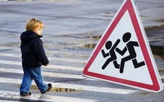 МВД займется обучением правил дорожного движения в образовательных учреждениях