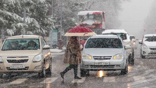 Эртага аксарият ҳудудларда қор ёғади