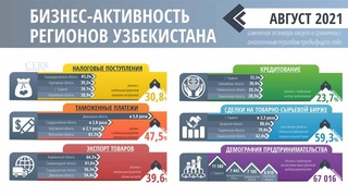 ЦЭИР проанализировал бизнес-активность регионов в августе
