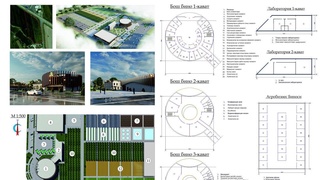 Современный опыт в сельском хозяйстве: налаживается деятельность инновационного “Центра агроуслуг”