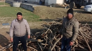 Инспекторларнинг машинасига қасддан шикаст етказган ҳуқуқбузарларга ҳукм ўқилди