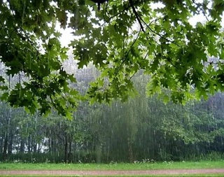 A sharp change in the weather is expected in Uzbekistan: strong wind, rains and cold snap