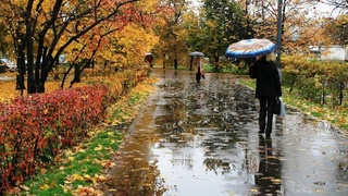 Uzhydromet: cold weather and rains are expected in Uzbekistan this week