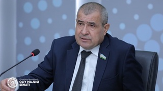 Сенатнинг навбатдаги ялпи мажлиси масалалари дастлабки тарзда муҳокама этилди