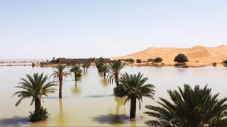Sahara Desert flooded after abnormal rains