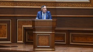 К ответственности будут привлекаться и наносящие вред деревьям и кустарникам, и подготовившие соответствующие проекты