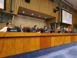 БМТнинг ўрмонлар бўйича форумида Оролбўйи масалалари кўтарилди