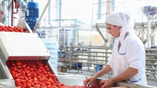 Образовано Главное управление развития пищевой промышленности