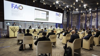 В Узбекистане запущена Глобальная программа действий ФАО «Одна страна - один приоритетный продукт»