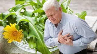 Обычный сорняк может стать помощником в борьбе с болезнями сердца