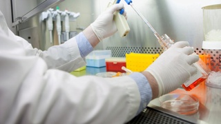 Санитария-эпидемиология хизмати такомиллаштирилди