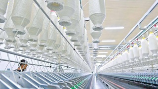 Перспективные проекты - гарантия благополучной жизни