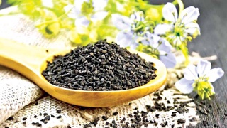 Органическое земледелие улучшает мелиорацию земель, увеличивает объем экспорта