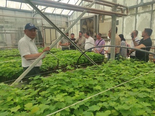 Узумчилик ва виночилик соҳаси бўйича ҳамкорликнинг янги ривожланиш босқичи бошланди