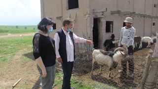 ПРООН поддержало создание интенсивной фермы по разведению коз в горных районах Ахангаранского района