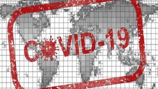 30 апреля: коронавирус, краткий дайджест