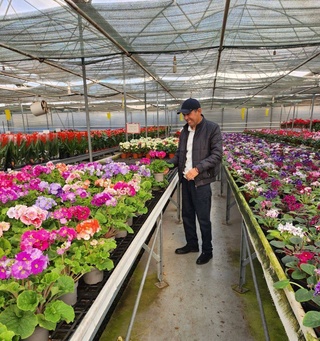 Наманган гулчилари халқаро ҳамкорликни йўлга қўйишмоқда