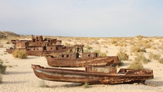 Решение проблем Приаралья через призму систем