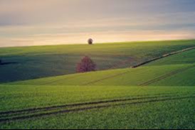 10 миллионнан аслам халықтың турмысына тийисли ҳүжжет