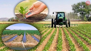 Қишлоқ хўжалиги соҳасидаги ислоҳотлар қандай натижа берди?