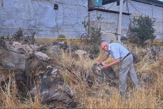 “Дендропарк"даги қоидабузарликлар юзасидан жиноят иши қўзғатилган