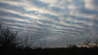 О погоде на выходные