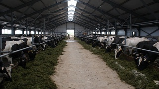 Оҳангаронда 27 млрд 720 млн сўмлик йирик комплекс қурила бошлади