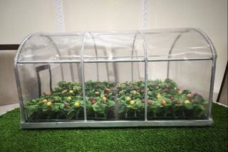 Haroratni moʻtadillashtiruvchi “aqlli” plyonka ishlab chiqarish yoʻlga qoʻyiladi